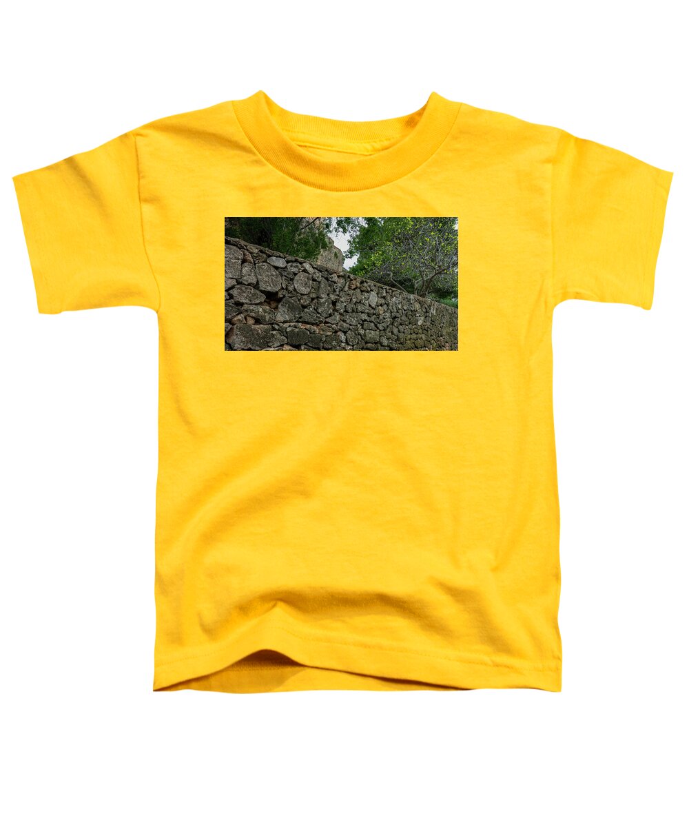 Spain Castle VII - Toddler T-Shirt