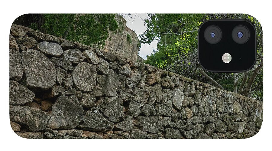 Spain Castle VII - Phone Case