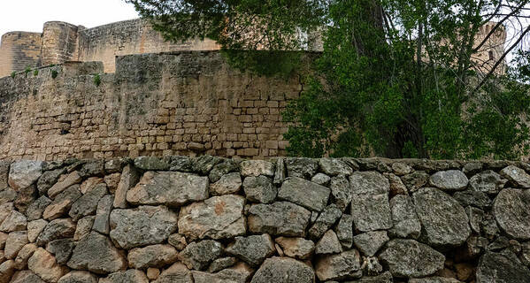 Spain Castle VIII - Art Print