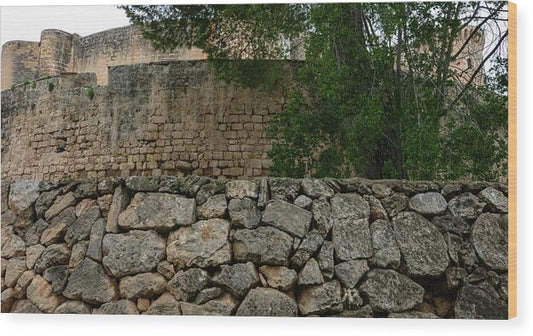 Spain Castle VIII - Wood Print