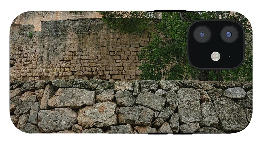 Spain Castle VIII - Phone Case