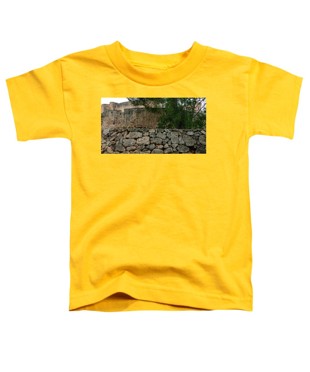 Spain Castle VIII - Toddler T-Shirt