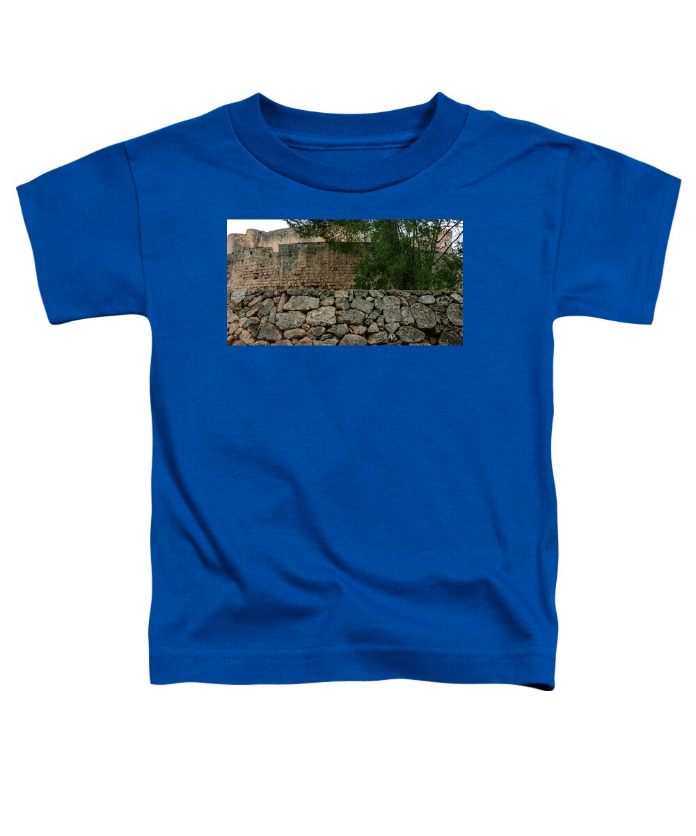 Spain Castle VIII - Toddler T-Shirt