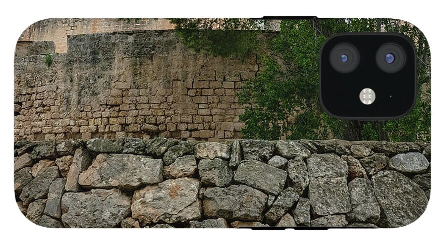 Spain Castle VIII - Phone Case