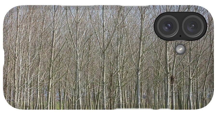 Treeline Italy - Phone Case