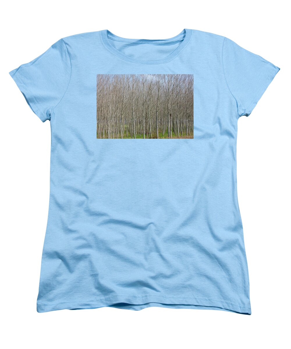 Treeline Italy - Women's T-Shirt (Standard Fit)