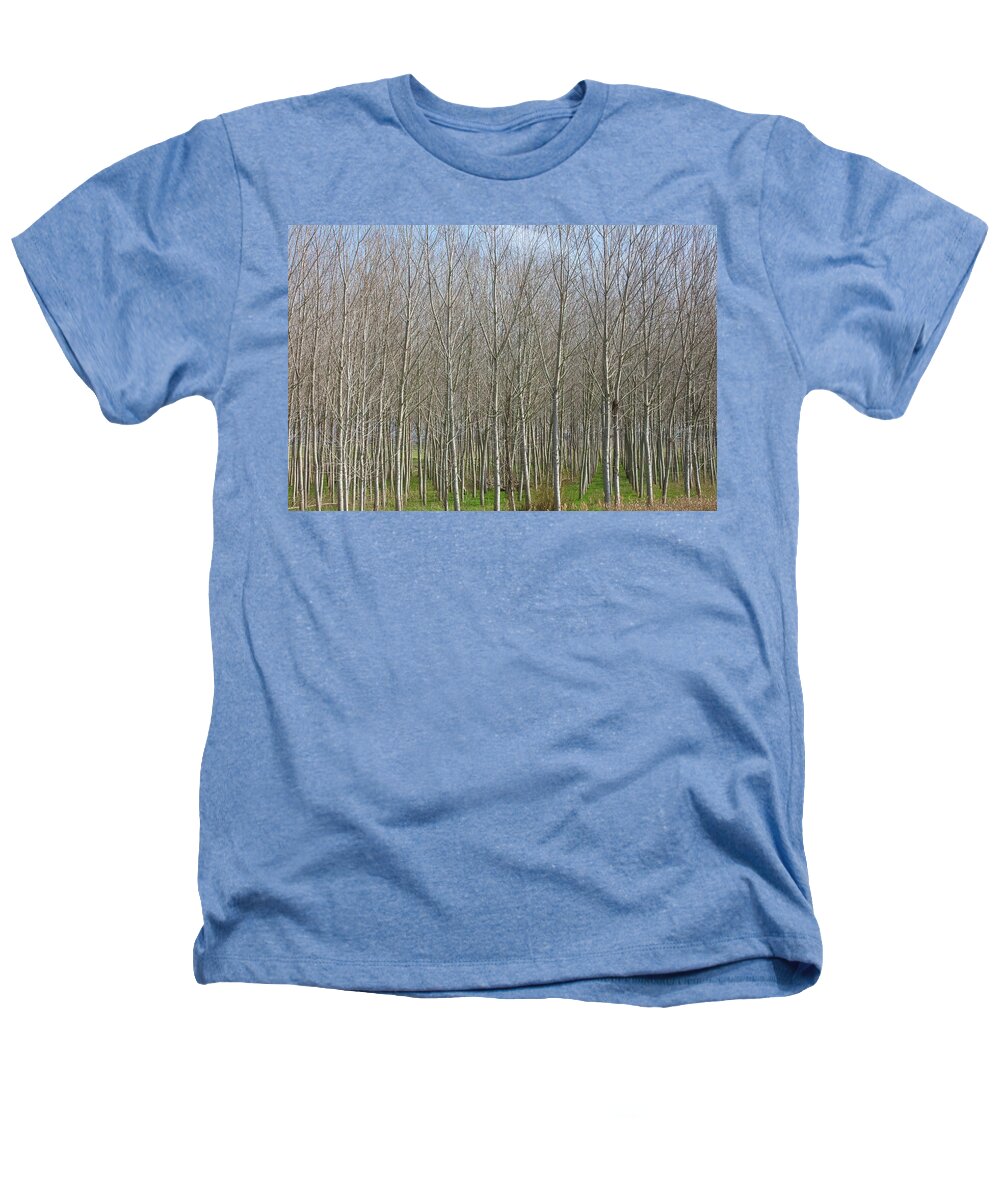 Treeline Italy - Heathers T-Shirt