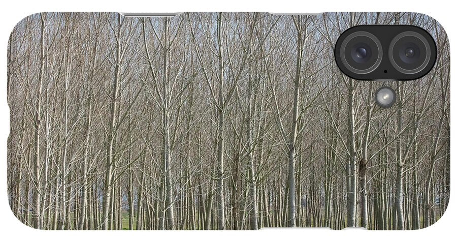 Treeline Italy - Phone Case