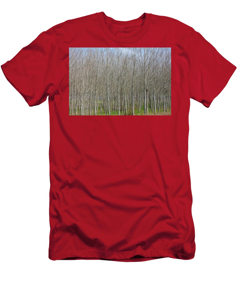 Treeline Italy - T-Shirt