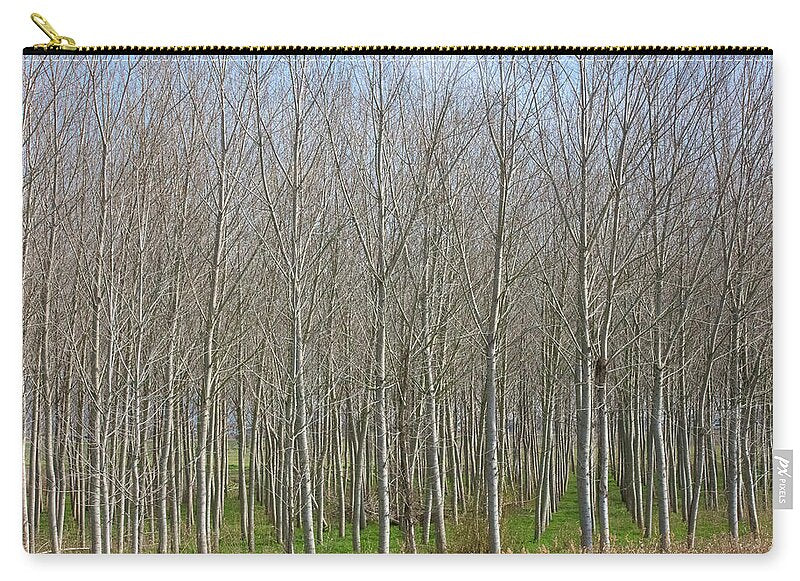 Treeline Italy - Zip Pouch