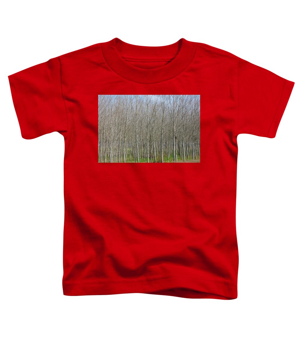 Treeline Italy - Toddler T-Shirt
