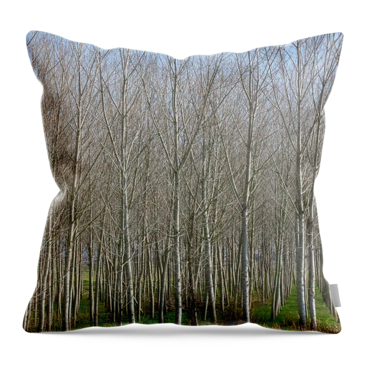 Treeline Italy - Throw Pillow
