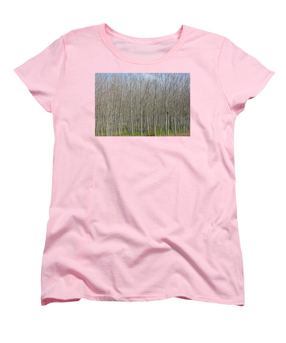 Treeline Italy - Women's T-Shirt (Standard Fit)