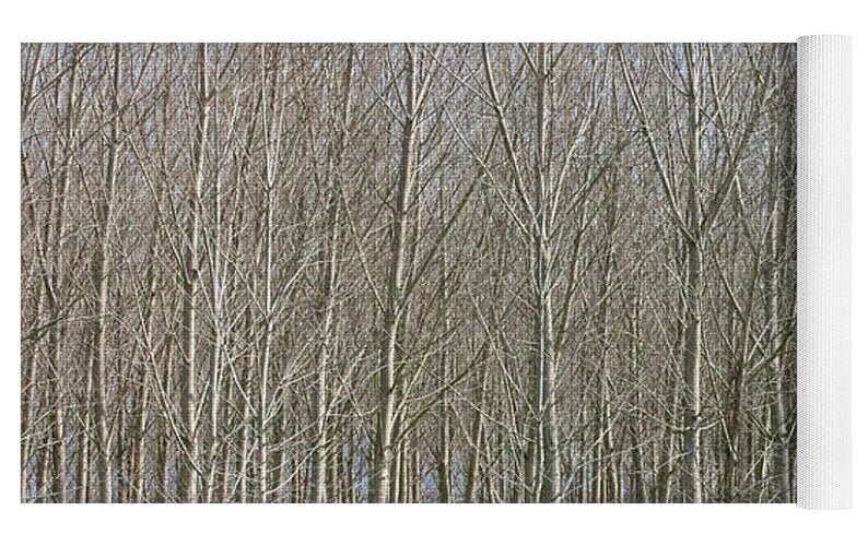 Treeline Italy - Yoga Mat