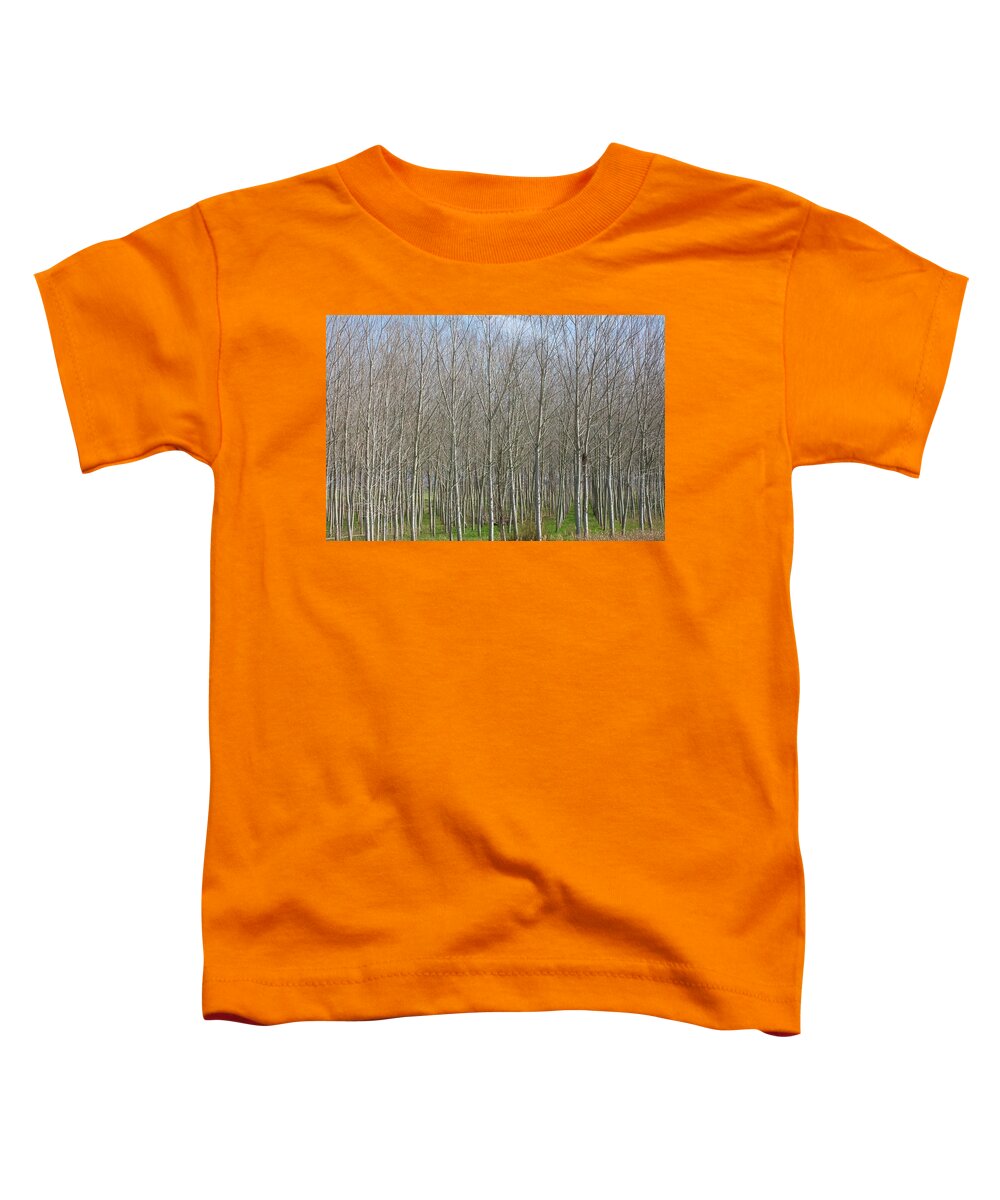 Treeline Italy - Toddler T-Shirt