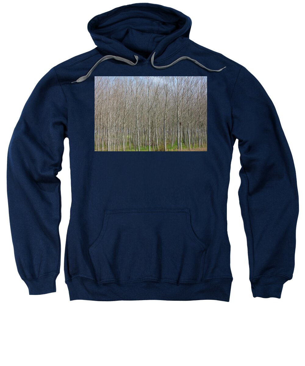 Treeline Italy - Sweatshirt