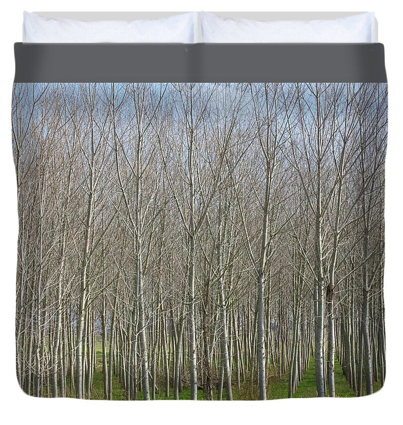 Treeline Italy - Duvet Cover