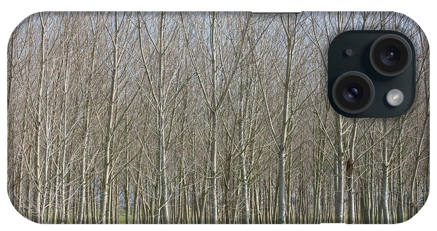 Treeline Italy - Phone Case