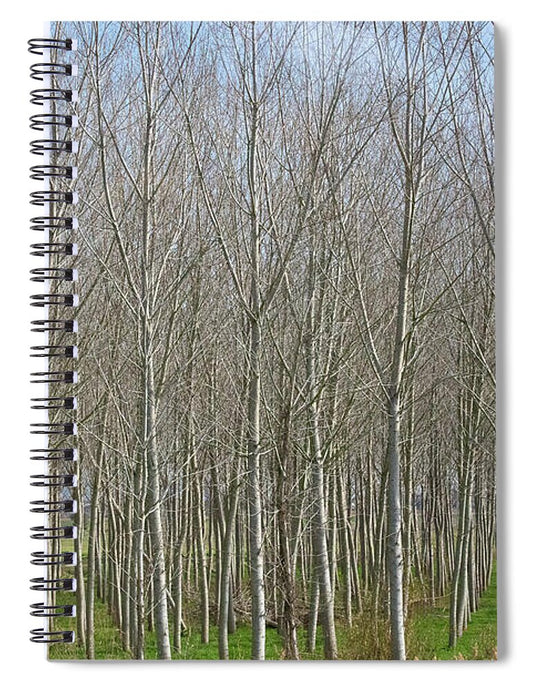 Treeline Italy - Spiral Notebook