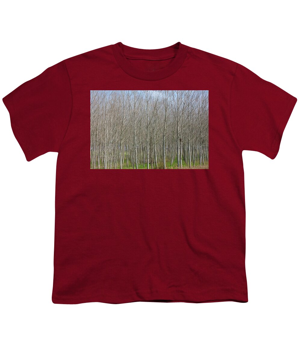 Treeline Italy - Youth T-Shirt