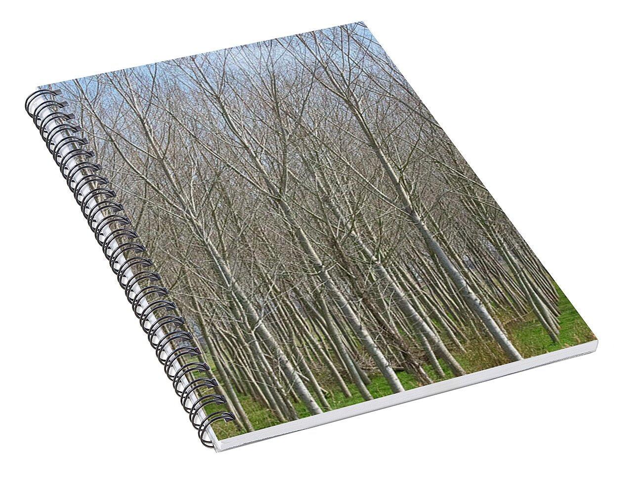 Treeline Italy - Spiral Notebook