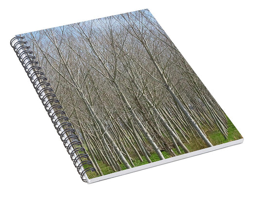 Treeline Italy - Spiral Notebook