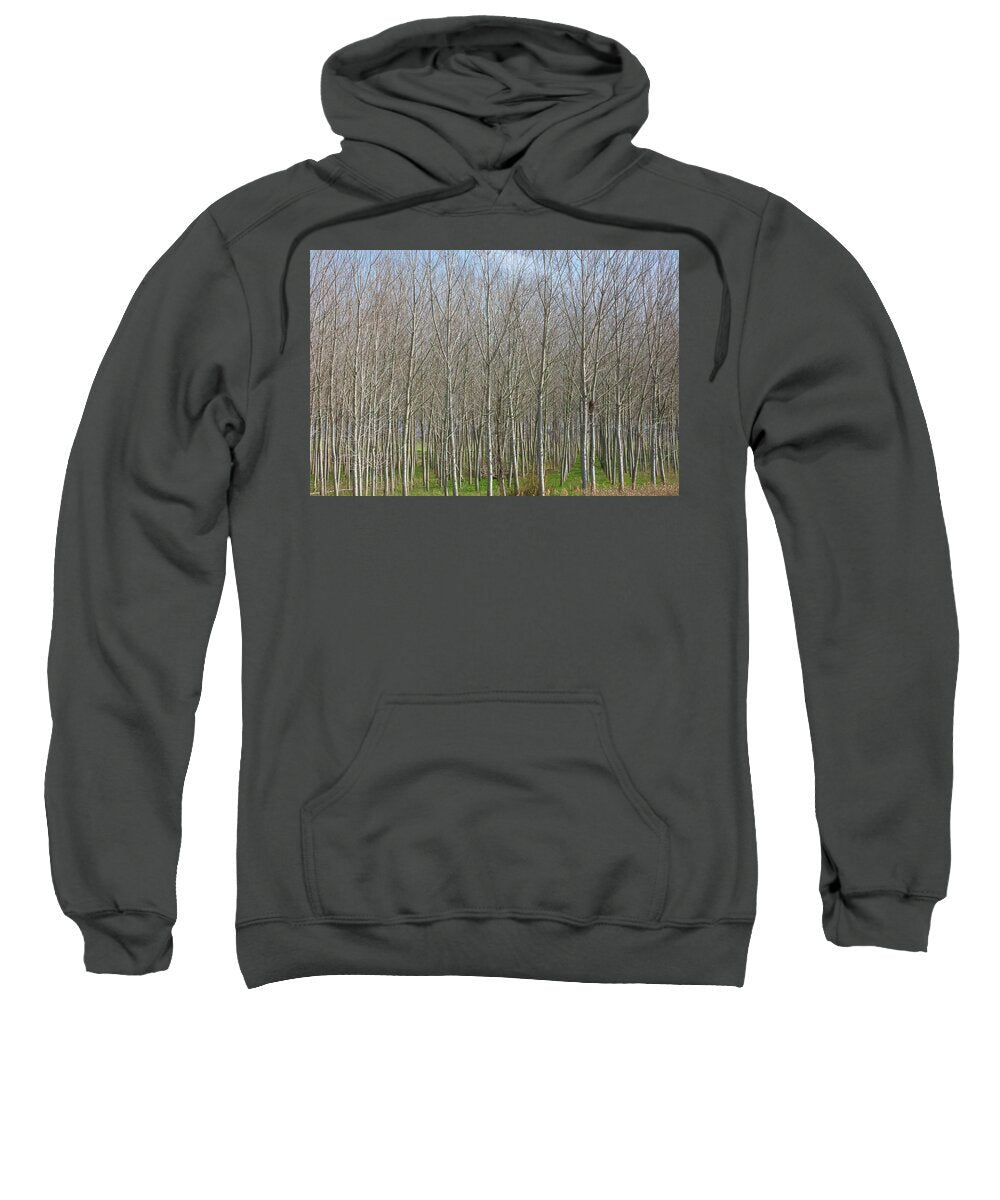 Treeline Italy - Sweatshirt