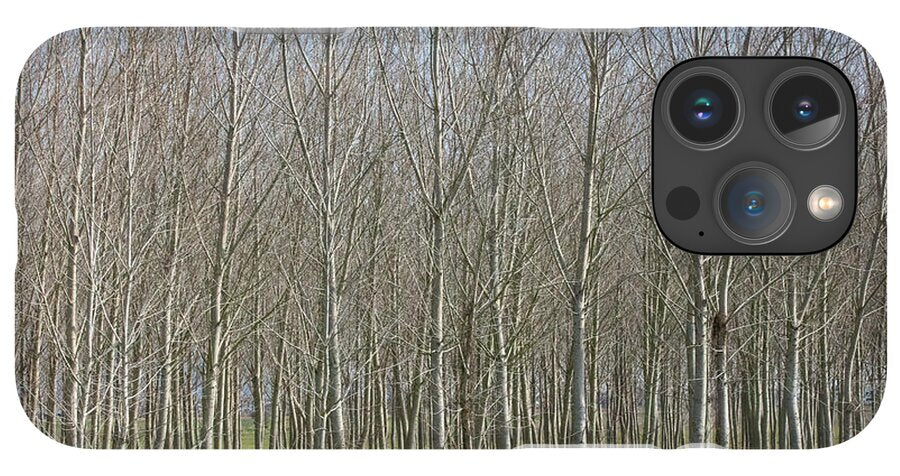 Treeline Italy - Phone Case