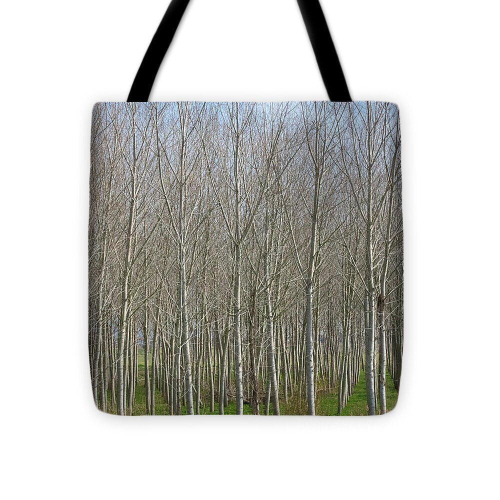 Treeline Italy - Tote Bag