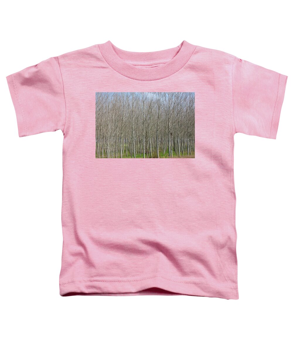 Treeline Italy - Toddler T-Shirt