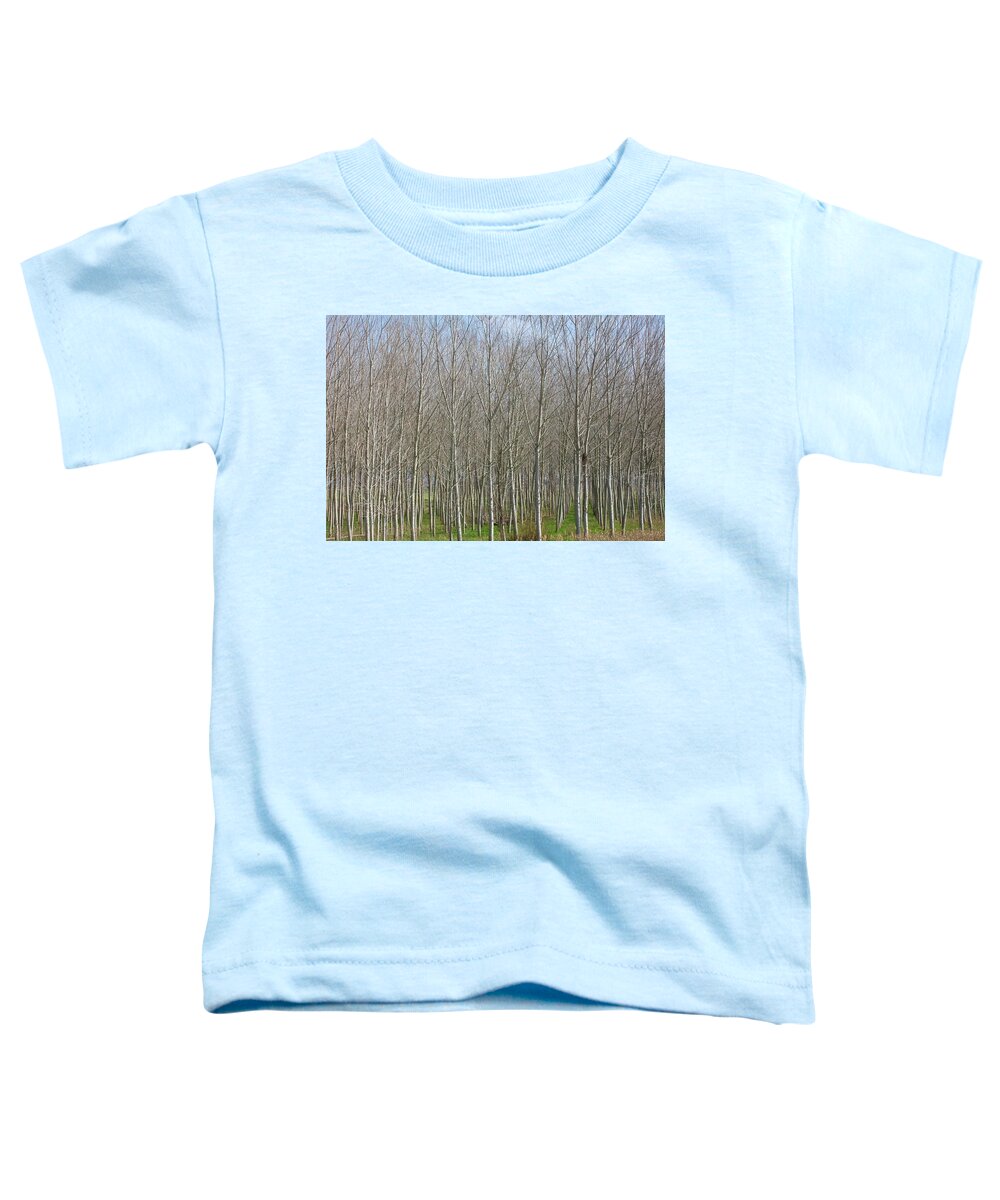 Treeline Italy - Toddler T-Shirt