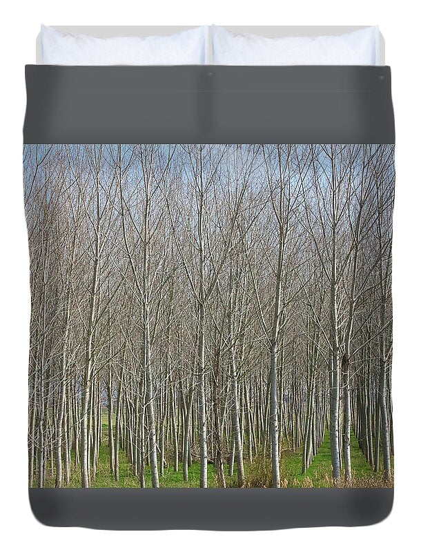 Treeline Italy - Duvet Cover