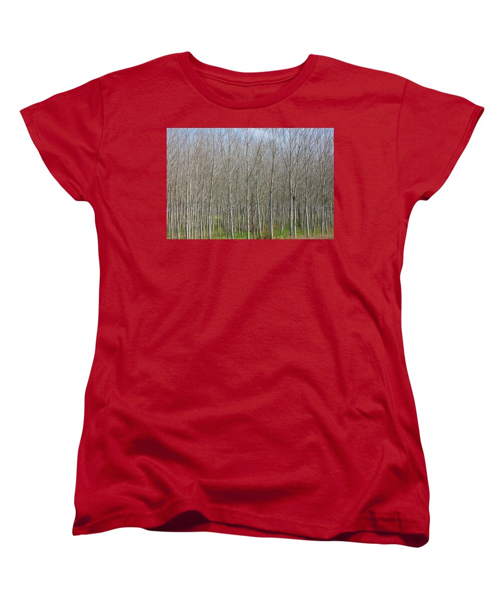Treeline Italy - Women's T-Shirt (Standard Fit)