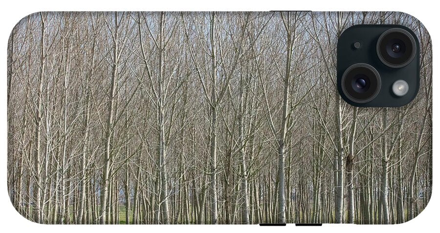 Treeline Italy - Phone Case