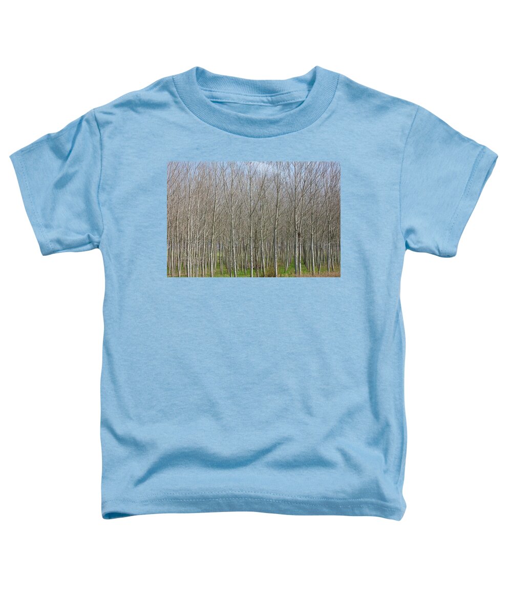 Treeline Italy - Toddler T-Shirt