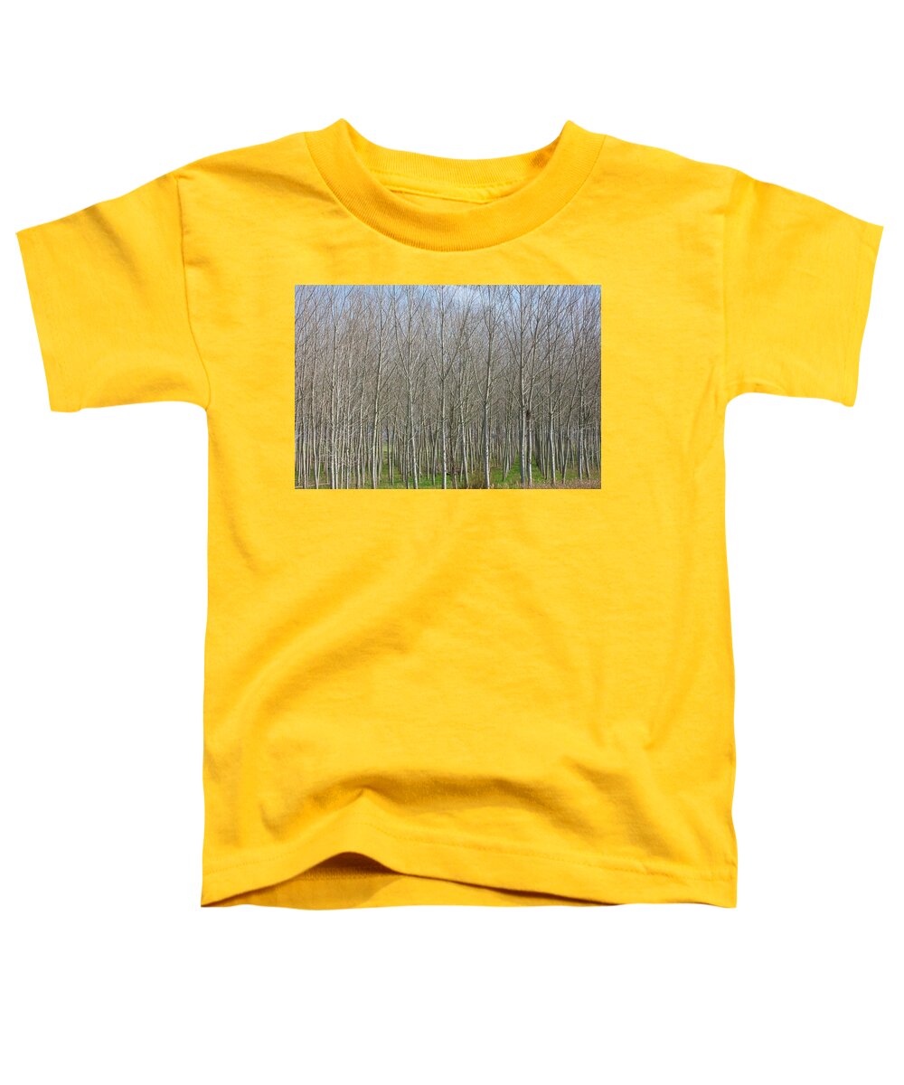 Treeline Italy - Toddler T-Shirt