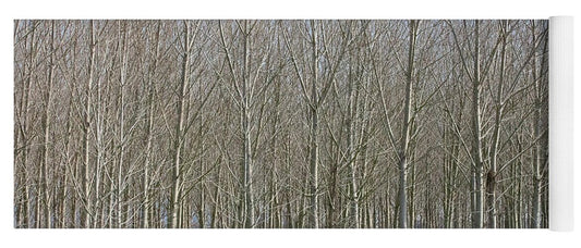 Treeline Italy - Yoga Mat