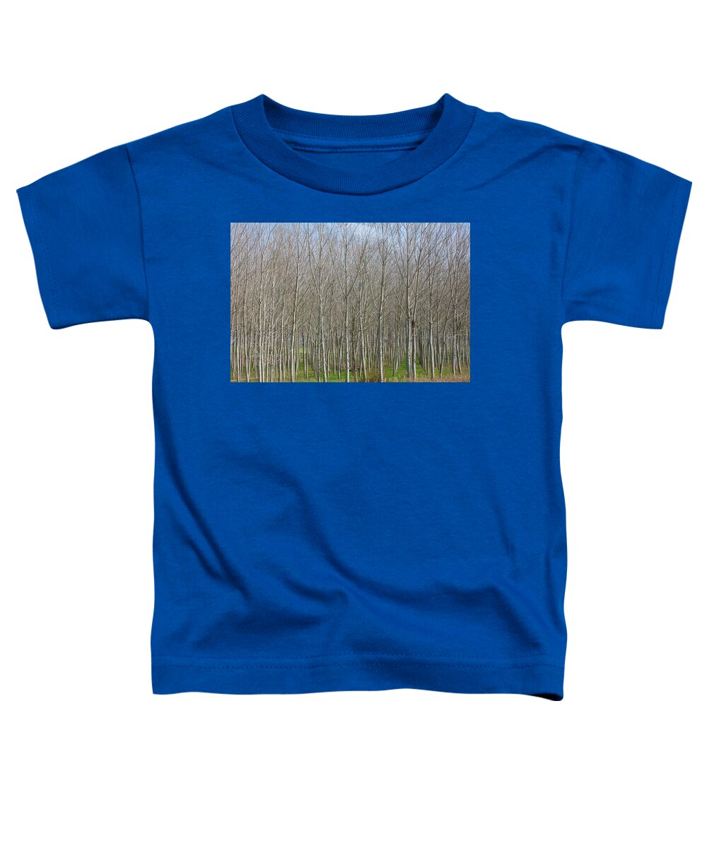 Treeline Italy - Toddler T-Shirt
