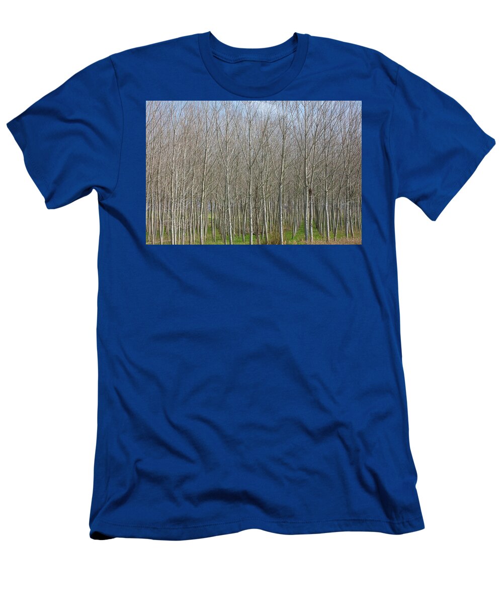 Treeline Italy - T-Shirt