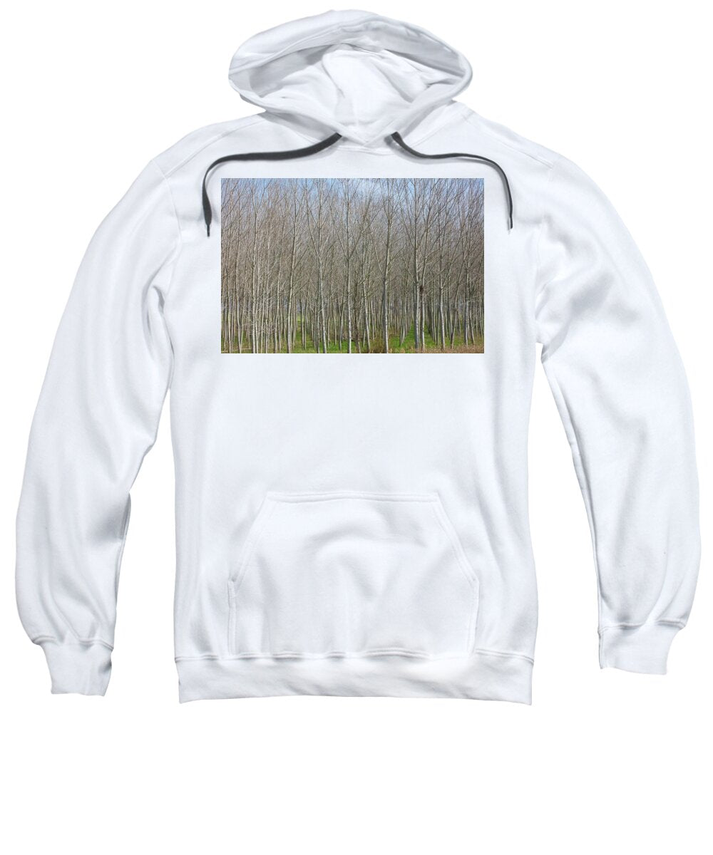 Treeline Italy - Sweatshirt