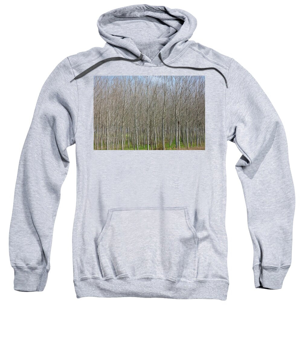 Treeline Italy - Sweatshirt