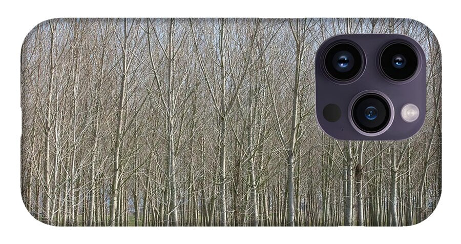 Treeline Italy - Phone Case