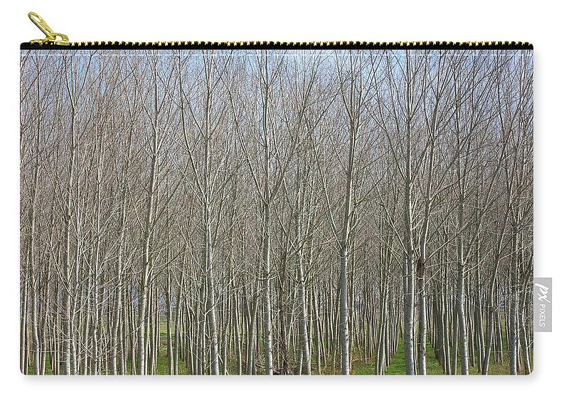 Treeline Italy - Zip Pouch
