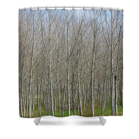 Treeline Italy - Shower Curtain