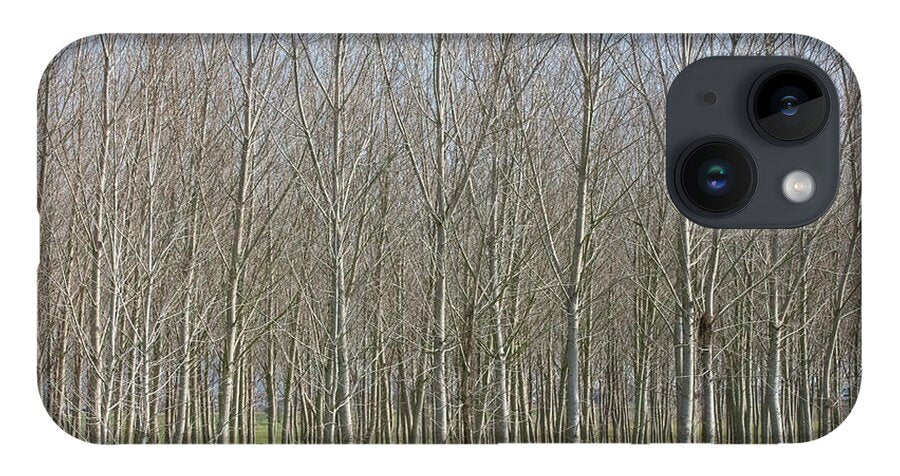 Treeline Italy - Phone Case