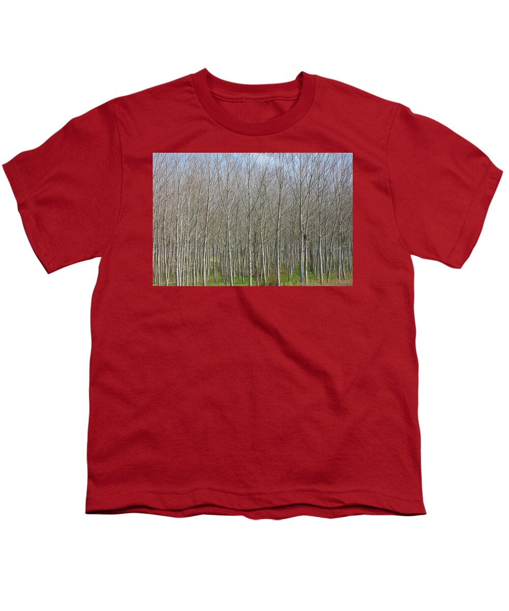 Treeline Italy - Youth T-Shirt