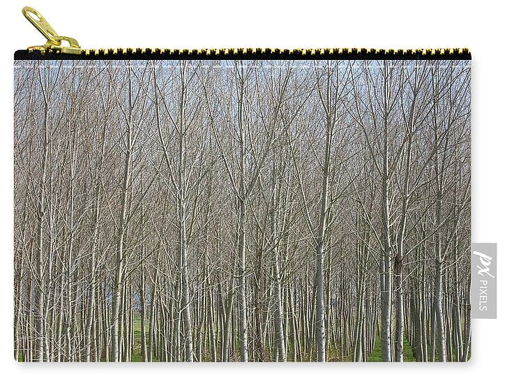Treeline Italy - Zip Pouch