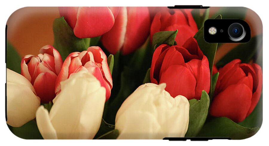 Tulips - Phone Case