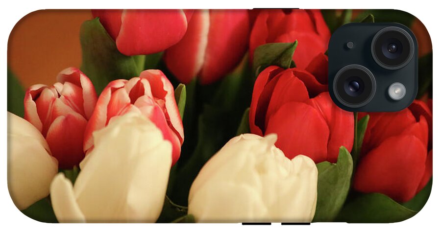 Tulips - Phone Case