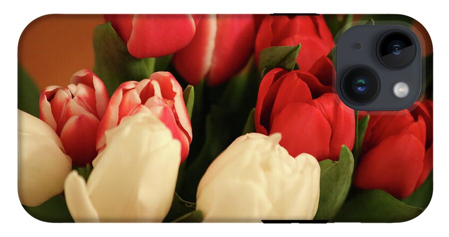 Tulips - Phone Case